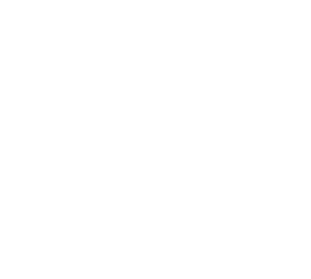 Price to performance white